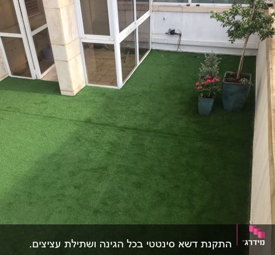עציצים עם פרחים ועץ על דשא סינתטי